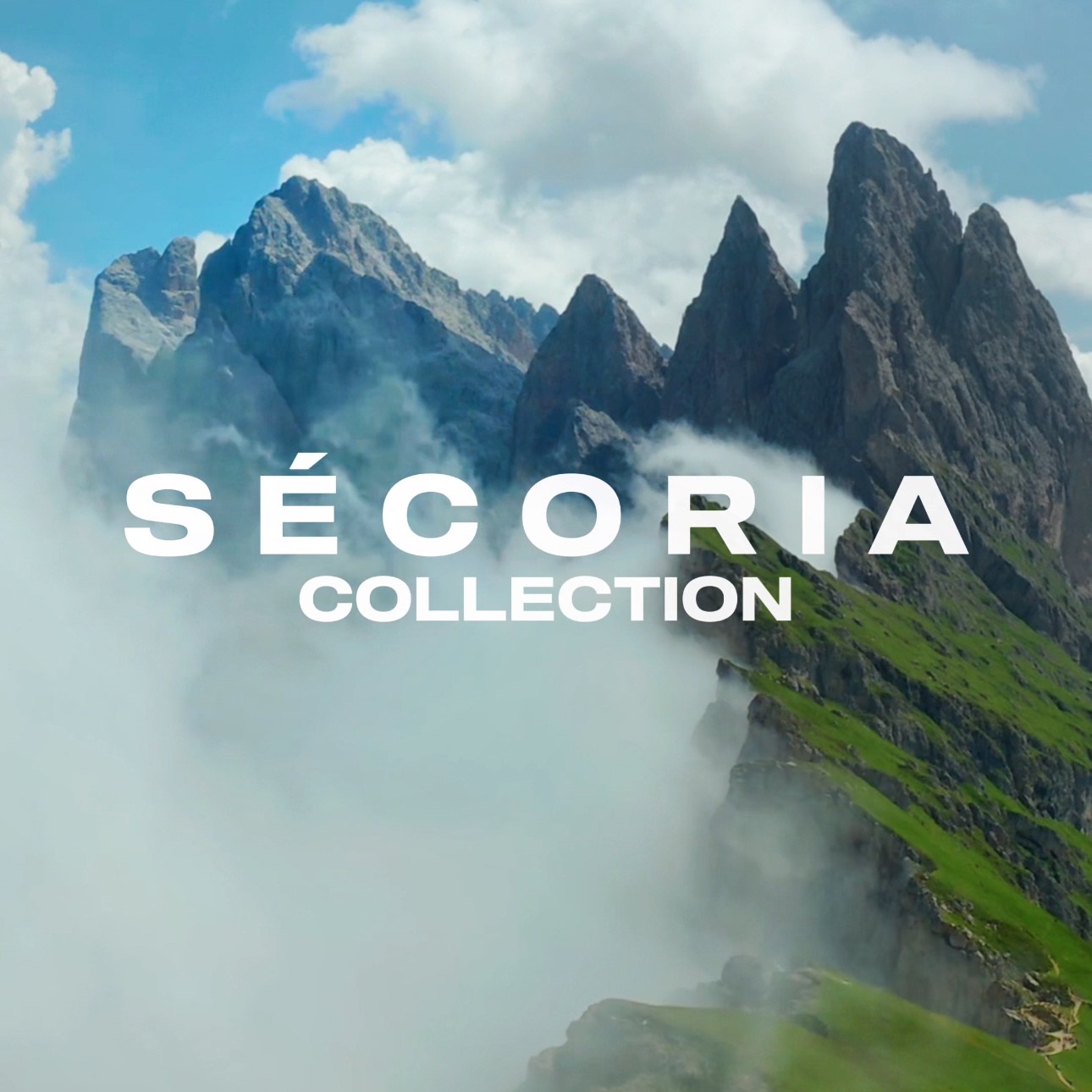 SECORIA COLLECTION