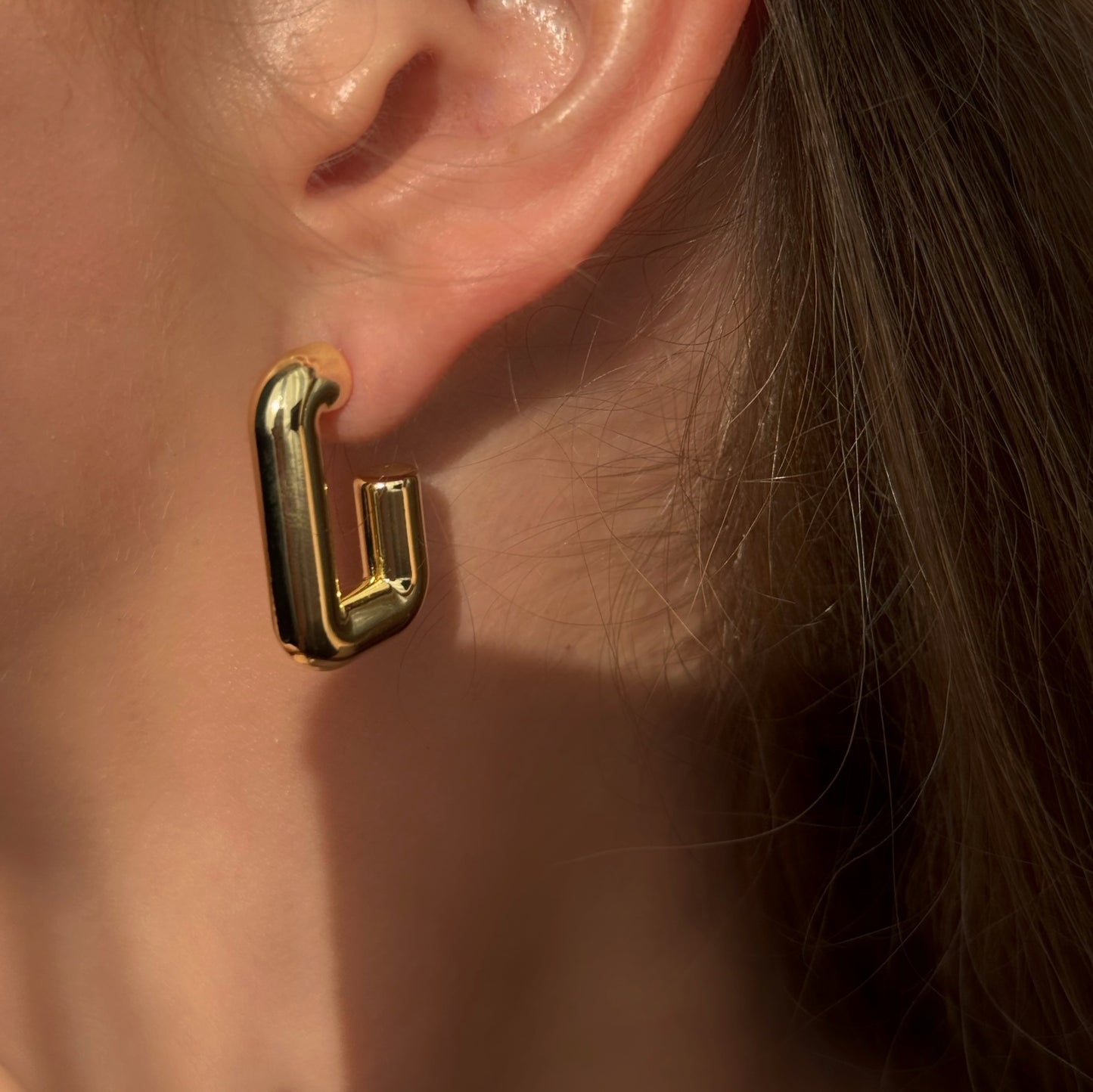 CHUNKY TANE EARRINGS