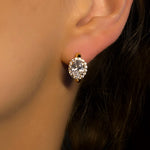 BAILEY LUXE EARRINGS