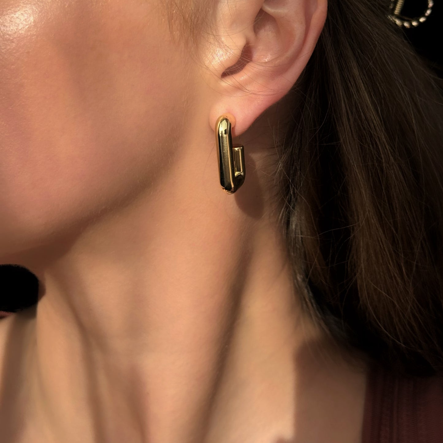 CHUNKY TANE EARRINGS